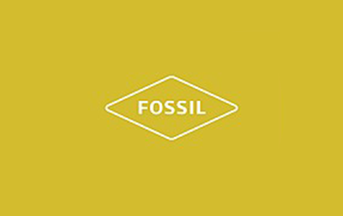 Fossil